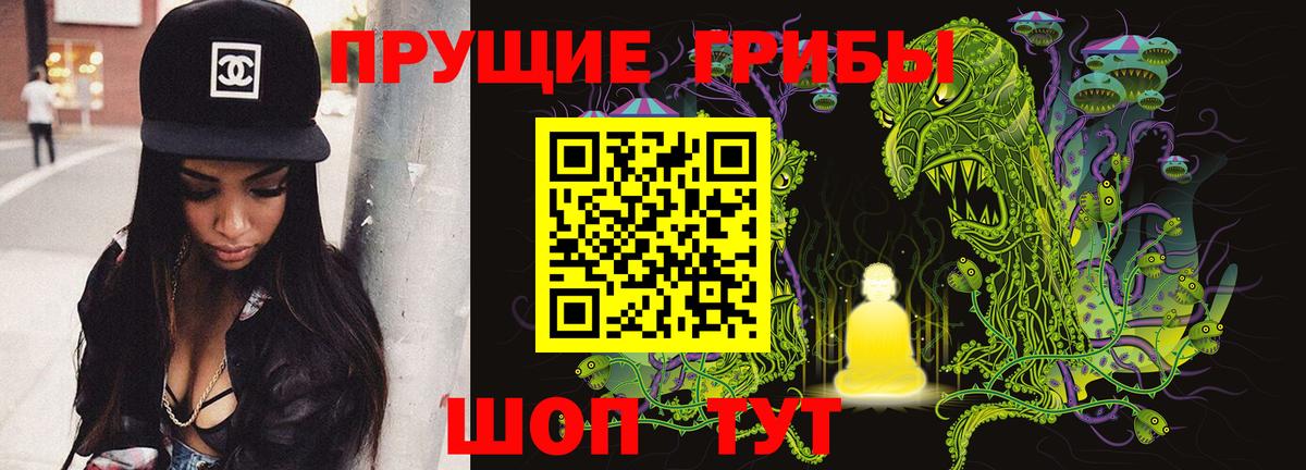 Павлово  Псилоцибиновые грибы мицелий  Вход с VPN  Псилоцибиновые грибы Magic Shrooms 