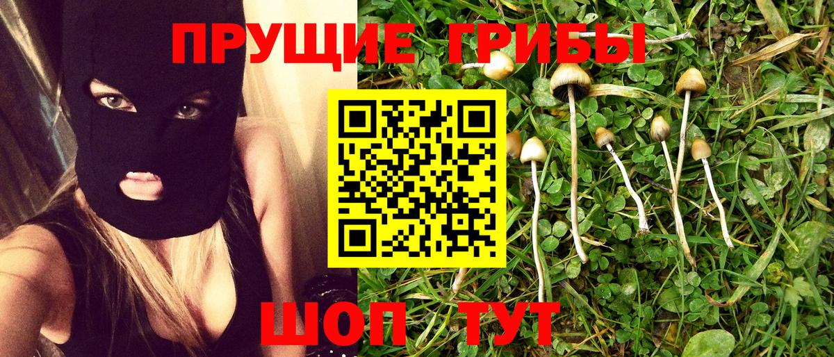 Псилоцибиновые грибы MAGIC MUSHROOMS Павлово